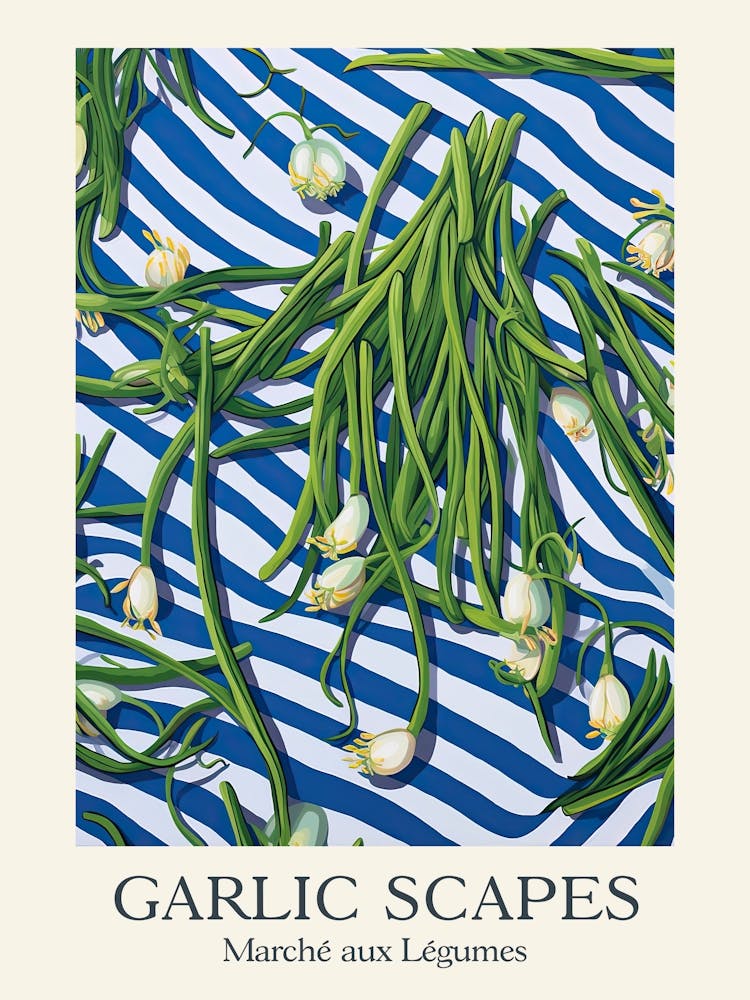 Marche Aux Legumes Garlic Scapes Summer Illustration 4