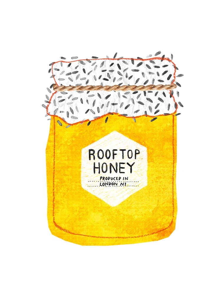 Rooftop Honey