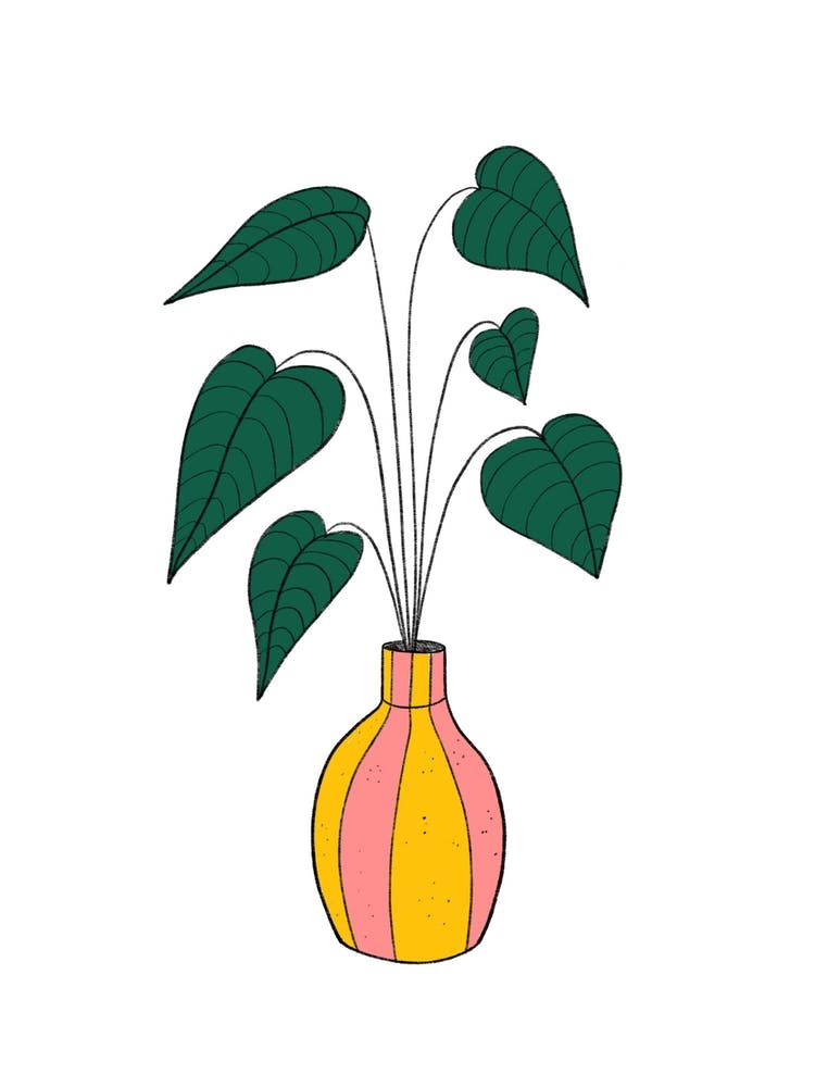 Plant Potted