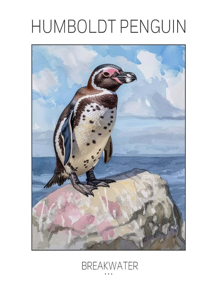 Humboldt Penguin Breakwater Watercolour Painting 4 Poster