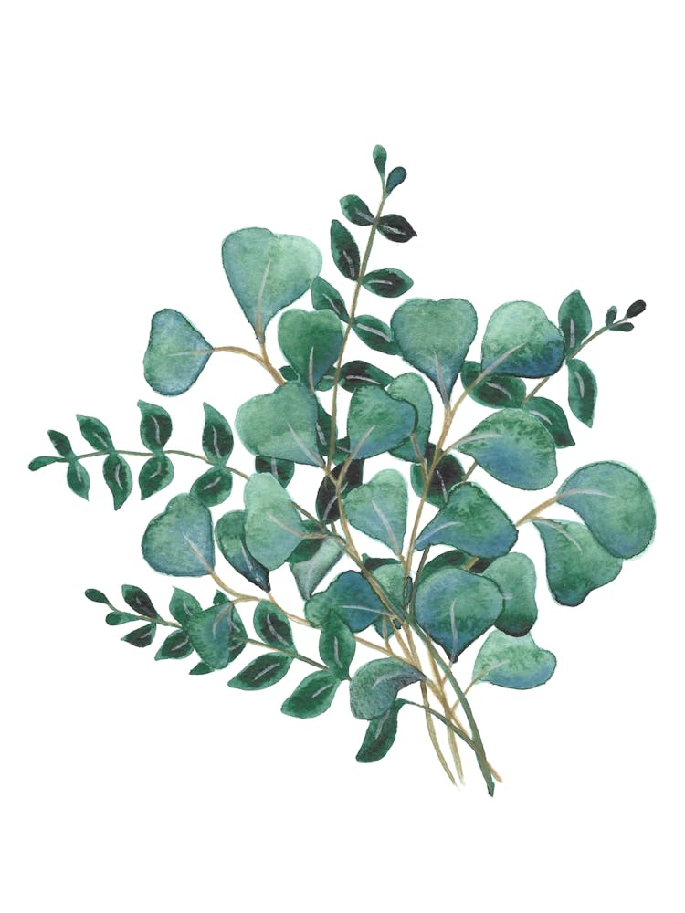 Étude de Feuillage à l'Aquarelle 3