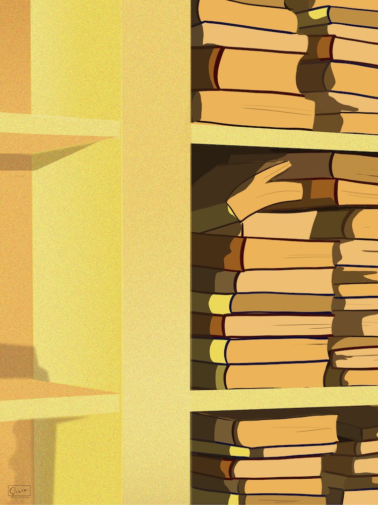 Books And Sunset
