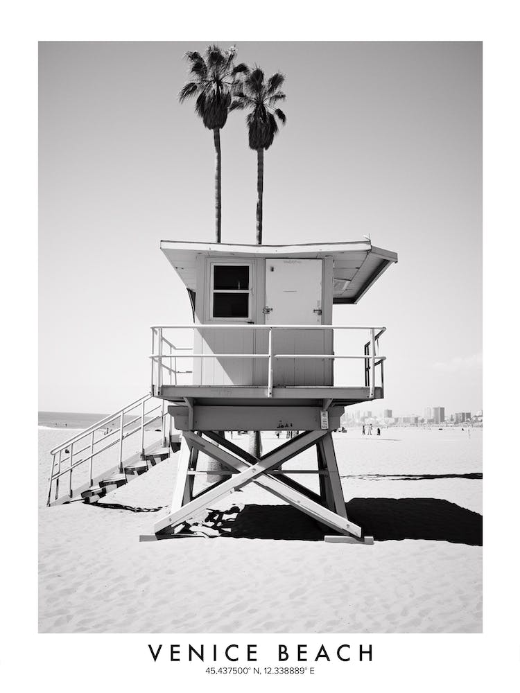 Poster Of Venice Beach, Black And White Analogue Photograph 3