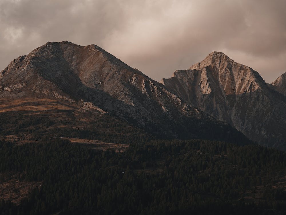 Forested Mountains