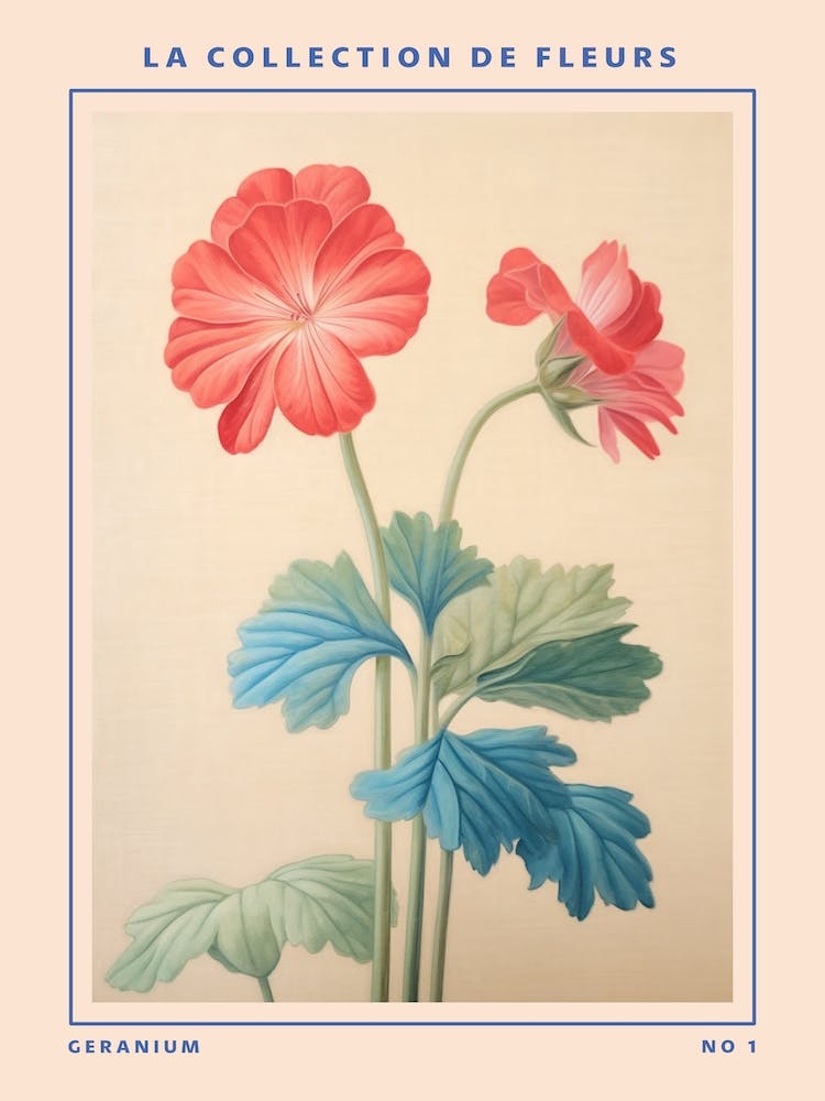 Geranium French Flower Botanical Poster
