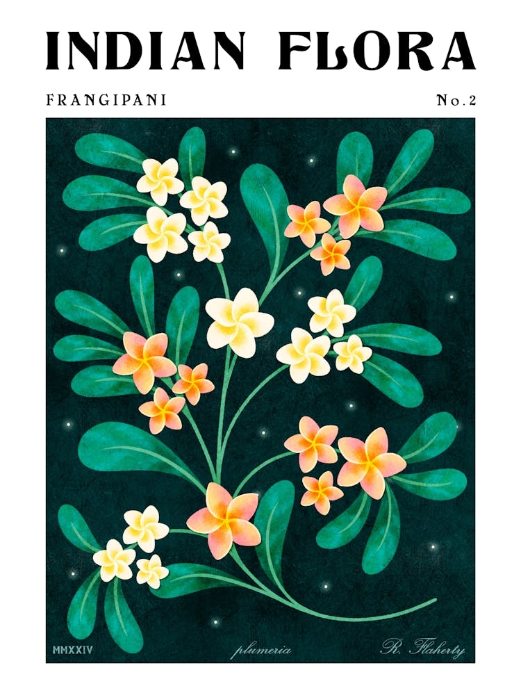 Indian Florals Frangipani
