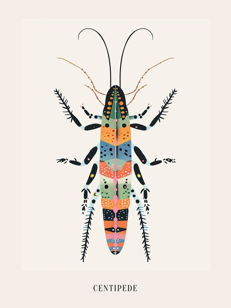 Colourful Insect Illustration Centipede 1 Poster