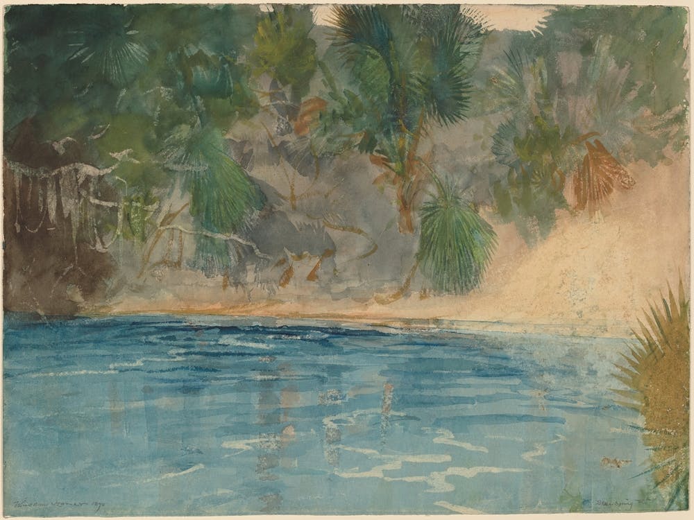 Blue Spring, Florida (1890), Winslow Homer