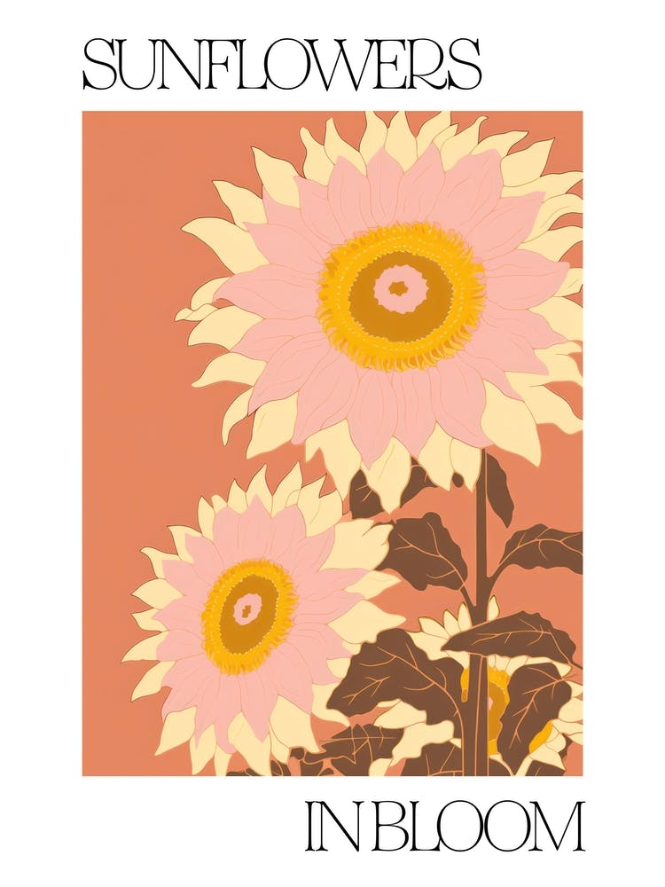 Sunflowers In Bloom Flowers Bold Illustration 4