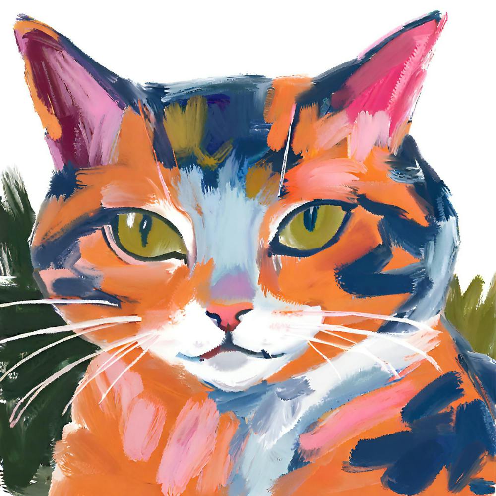 Maine Coon 02