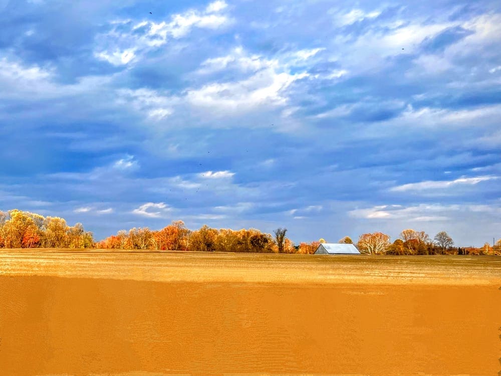 Fall In The Field On Westphalia