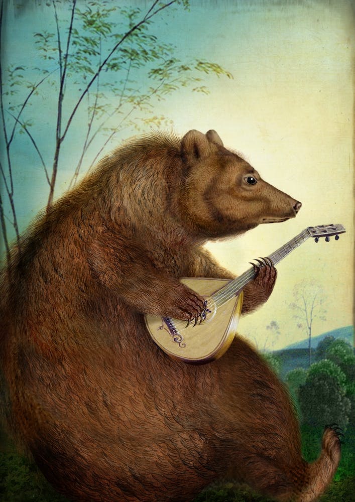 Mandolin Bear