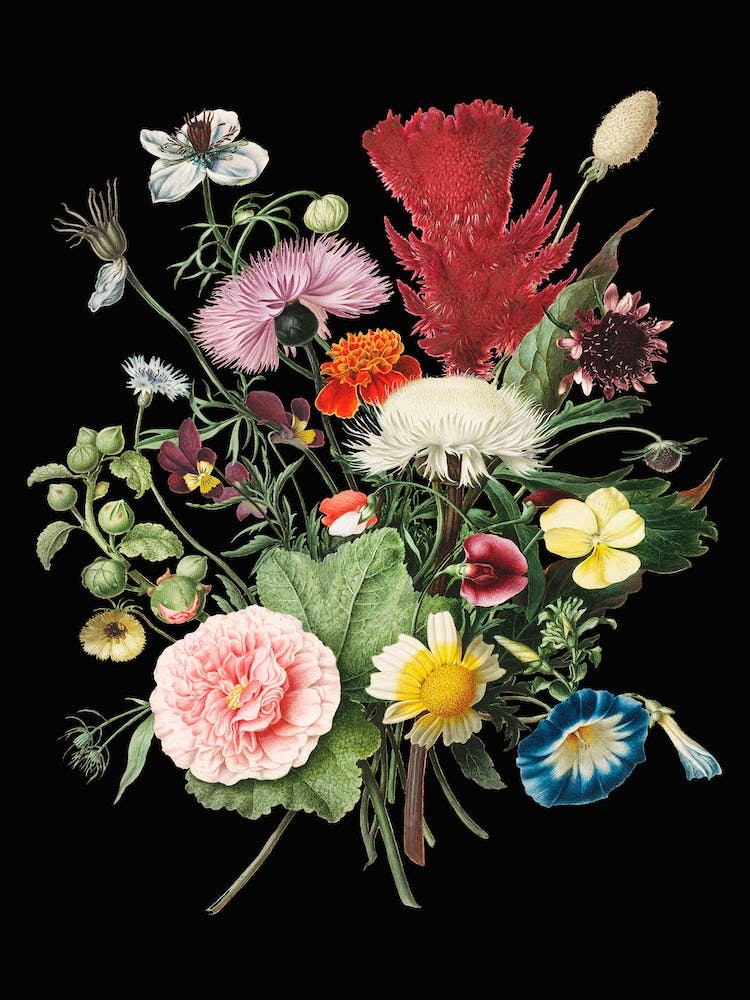 Floral Bouquet Vintage Flowers Illustration Black