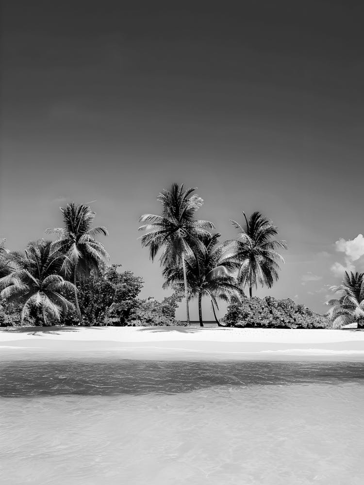 Black And White Beach 9