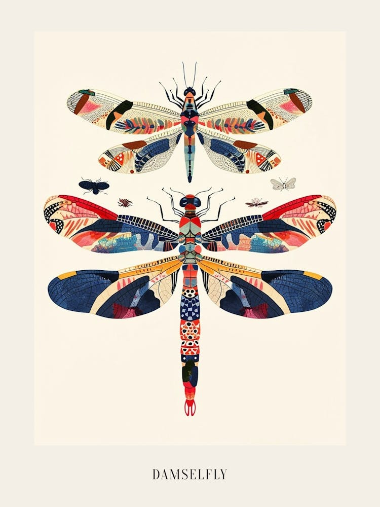 Bunte Insektenillustration Damselfly 4 Poster