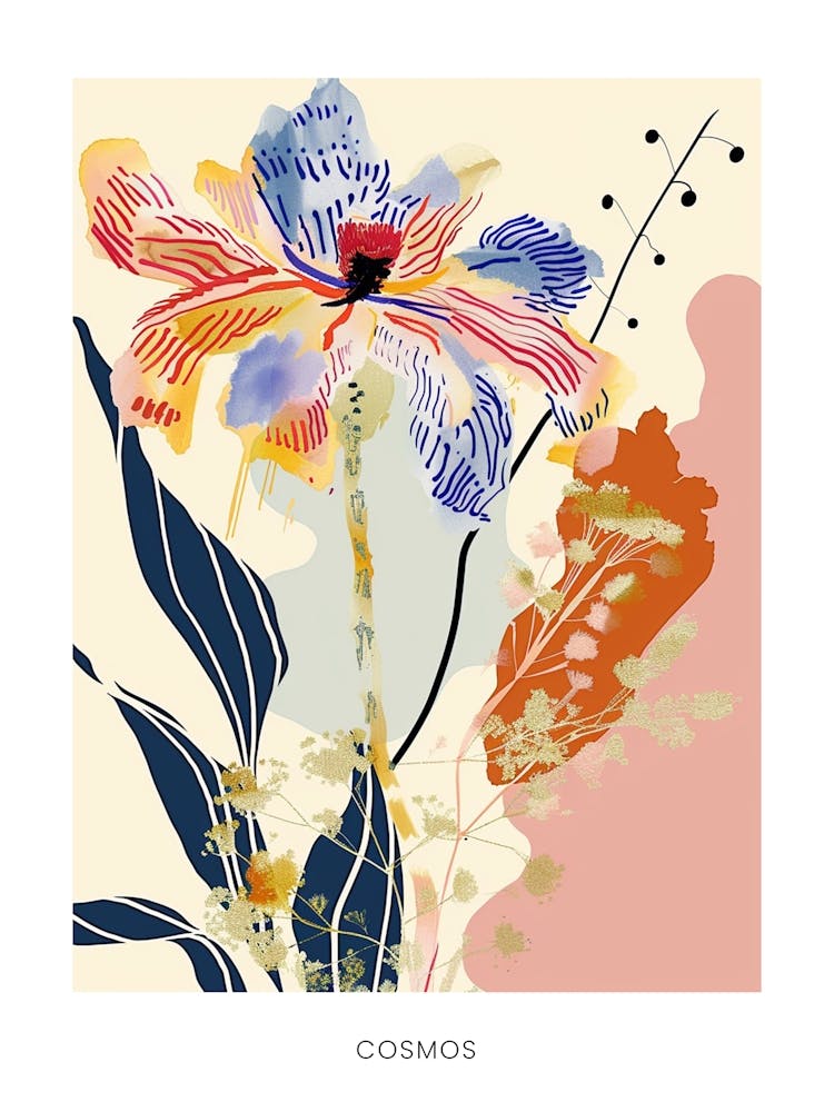 Colourful Flower Illustration Poster Cosmos 2
