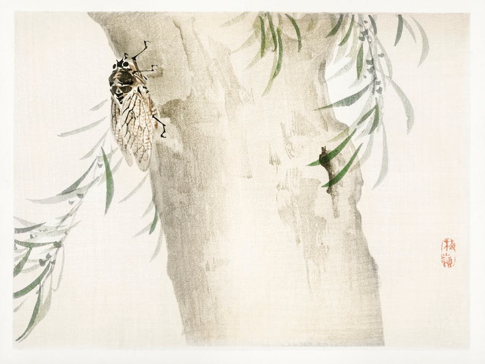 Insect, Kōno Bairei