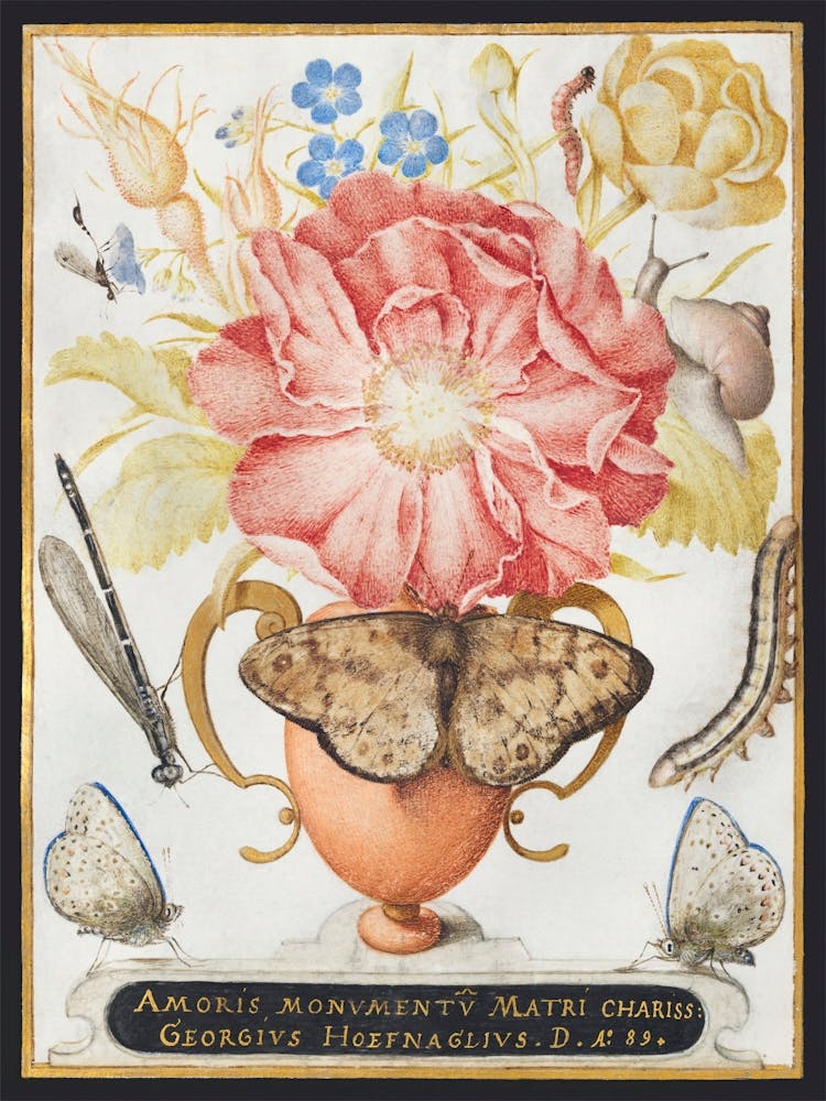 Still Life With Flowers, A Snail And Insects (1589), Joris Hoefnagel
