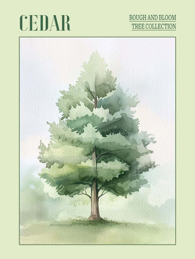 Cedar Tree Atmospheric Watercolour Painting 2 Poster