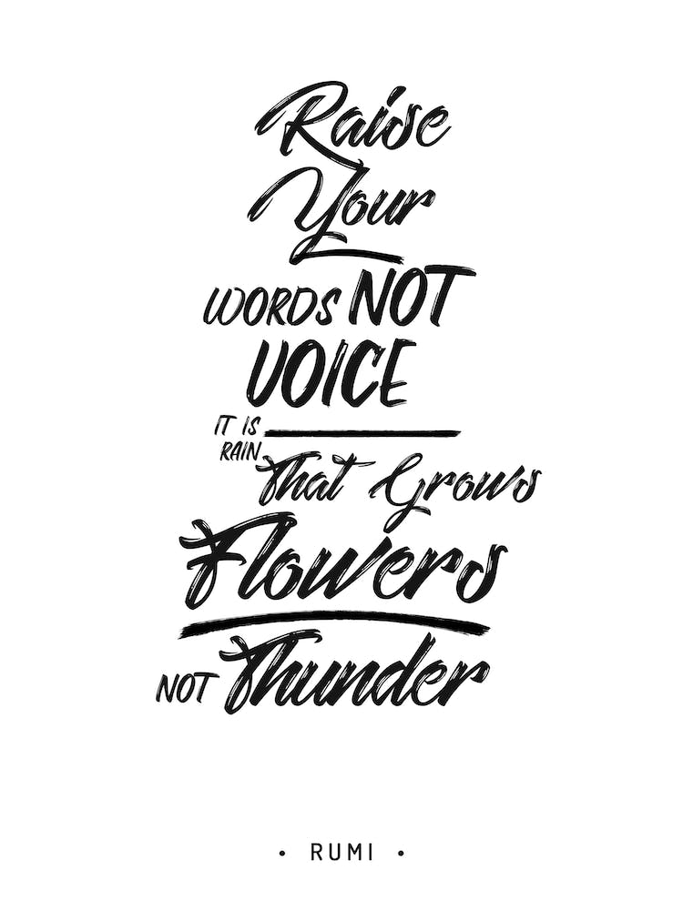 Raise Your Words, Not Voice 2