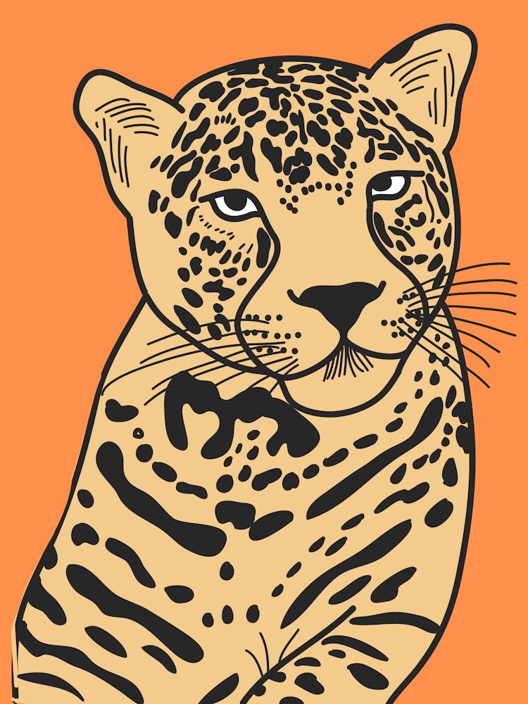 Leopard 13