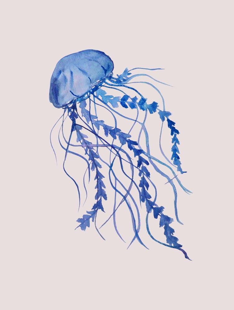 Blue Jellyfish 1