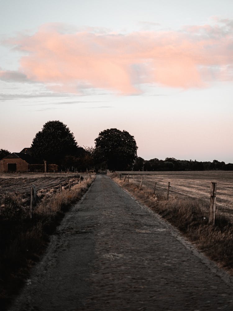 The Pink Country Road Sunset Netherlands Nature