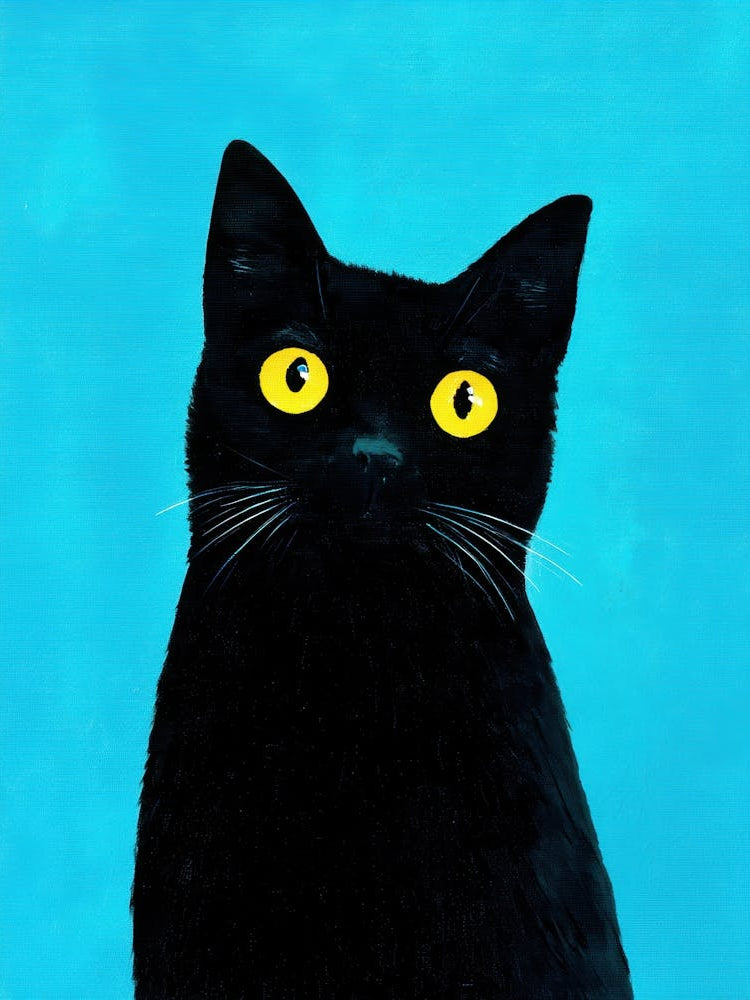 Black Cat With Yellow Eyes 13