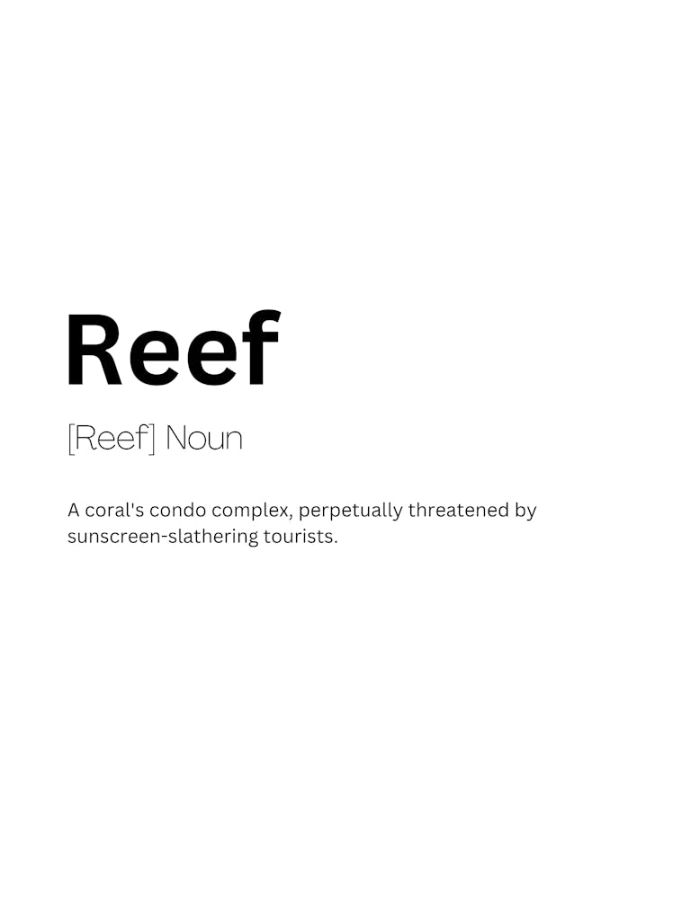 Reef Definition Meaning