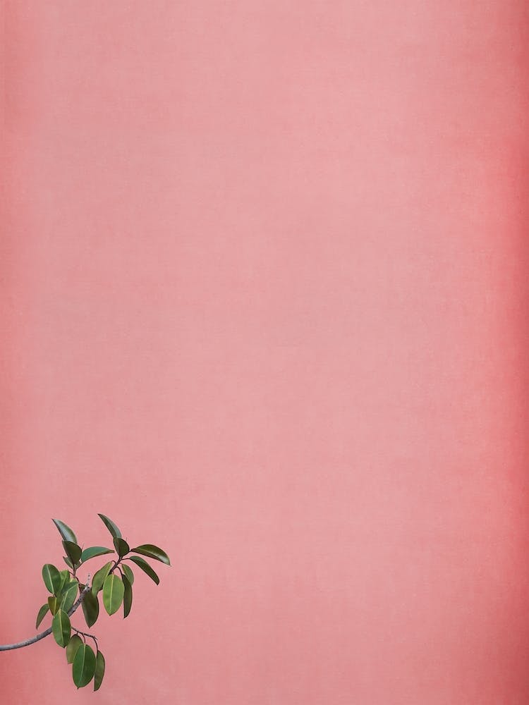 I Just Came To Say Hello