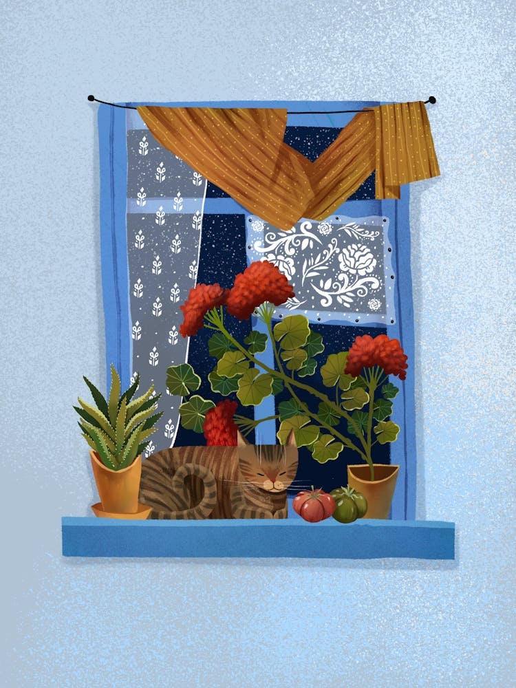Window