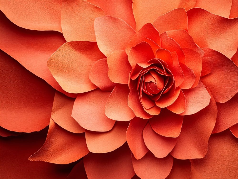 Paper Flower 1