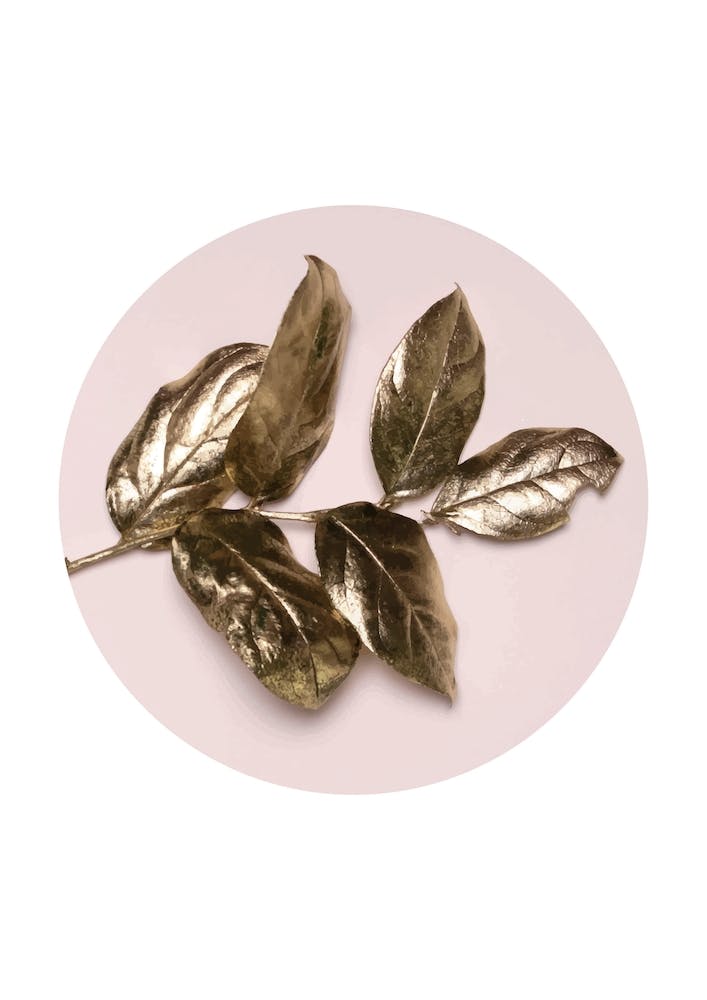 Rose Gold Leaf