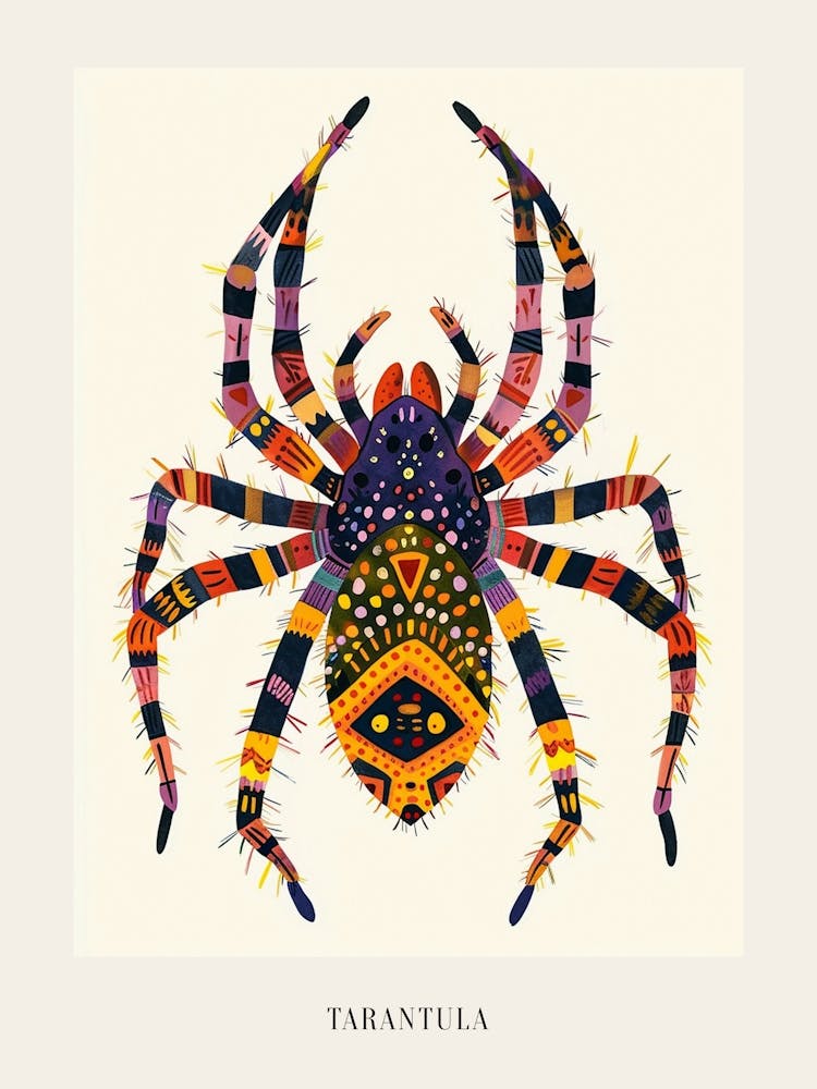 Colourful Insect Illustration Tarantula 5 Poster