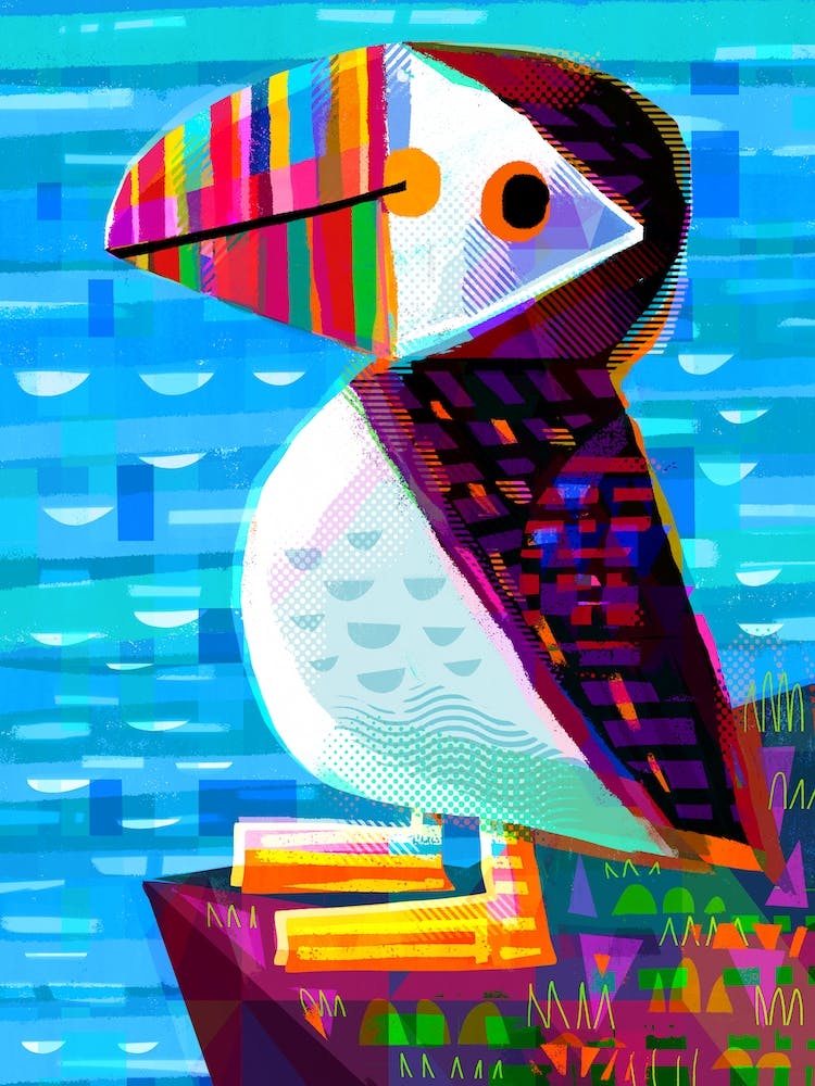 Puffin