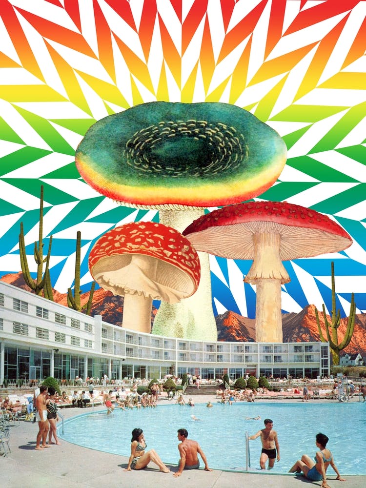 Hotel Psychedelia