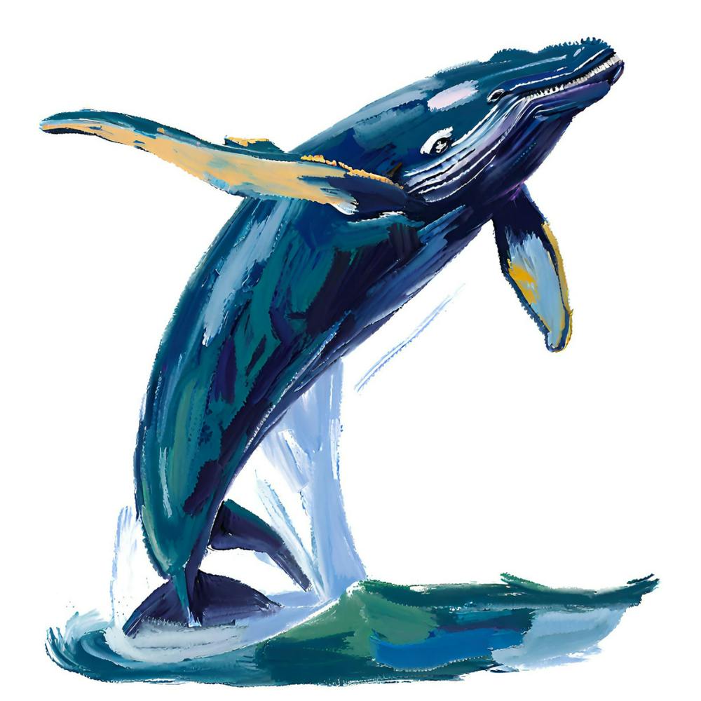 Humpback Whale 07