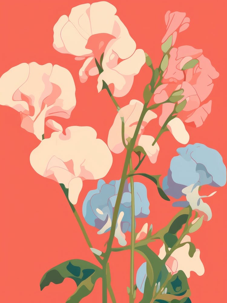 Sweet Peas Flower Big Bold Illustration 1