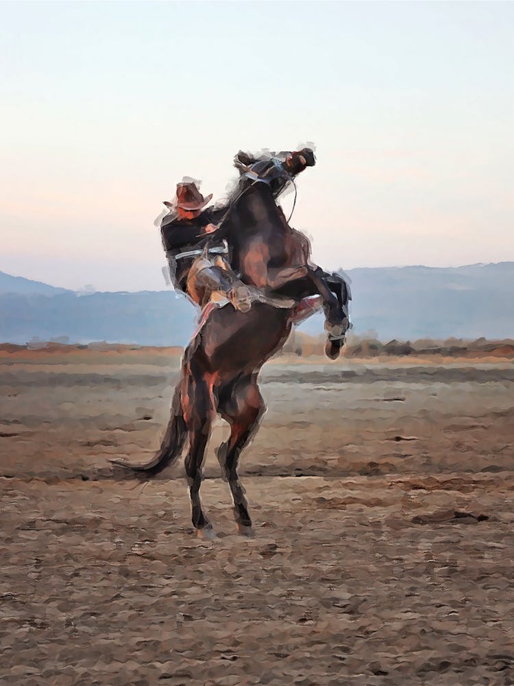 Texas Evening Horse And A Cowboy