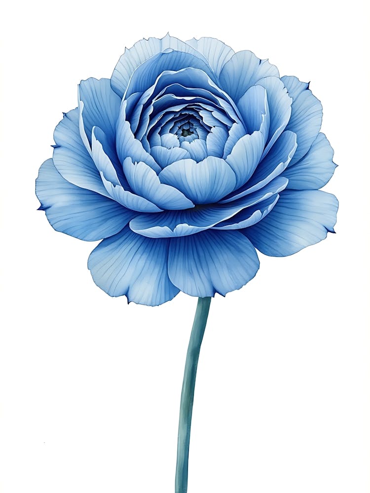 Light Blue Botanical Flow