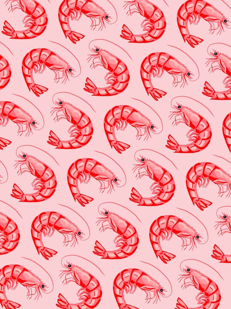Troupe Of Shrimps Blush