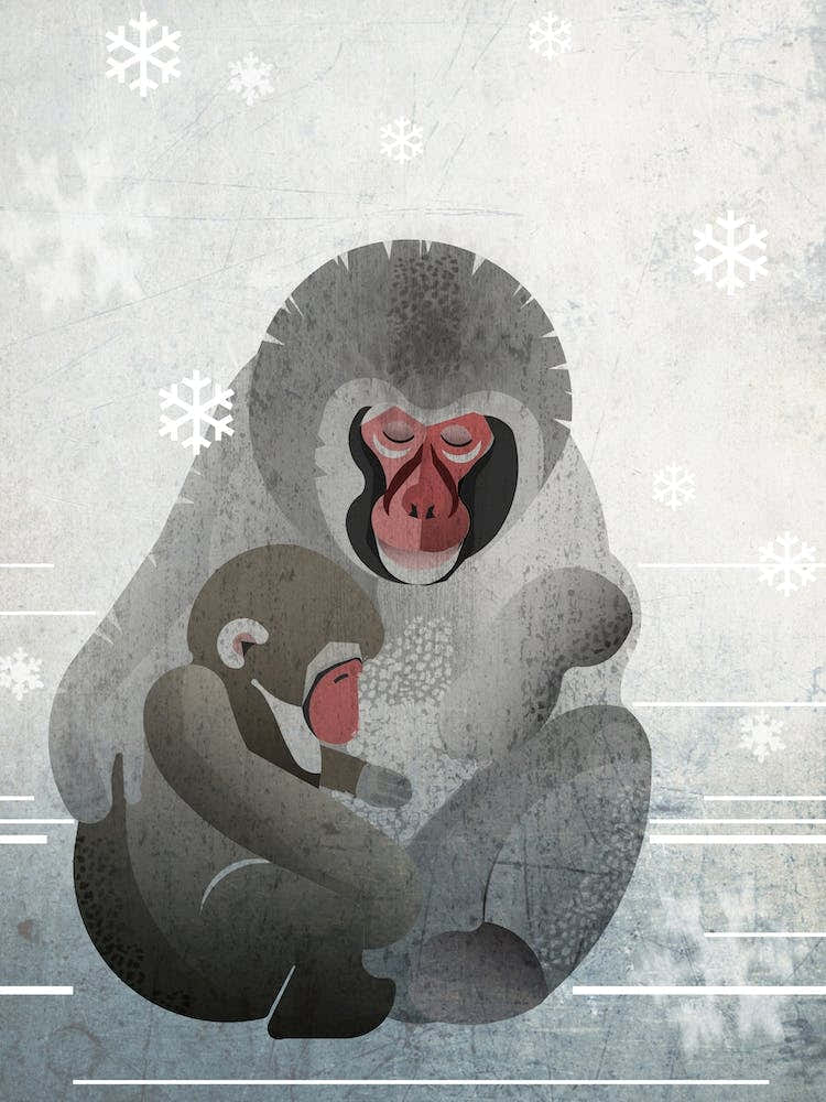 Illu Monkey