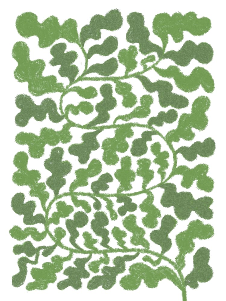 Wild Greens