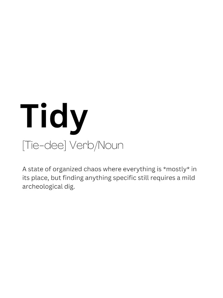 Tidy Definition Meaning