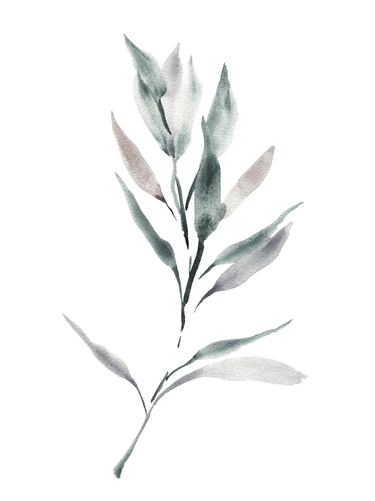 Watercolor Leaf, Sage Green Leaf 6