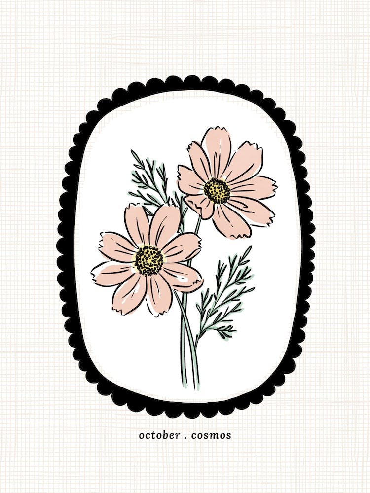 October Cosmos Birth Flower