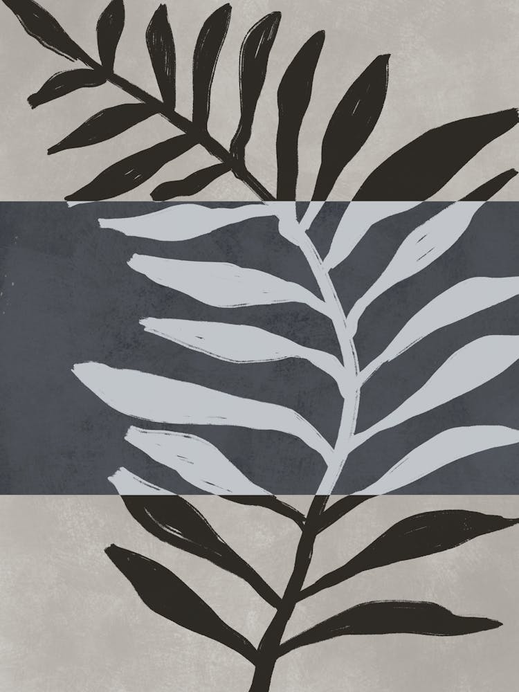 Black Botanic No 2