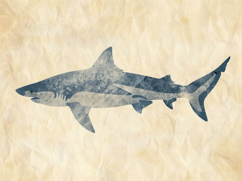 Mako Shark Grey Silhouette 6