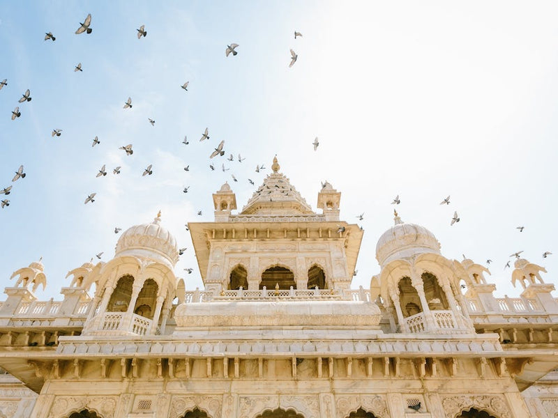 India Birds