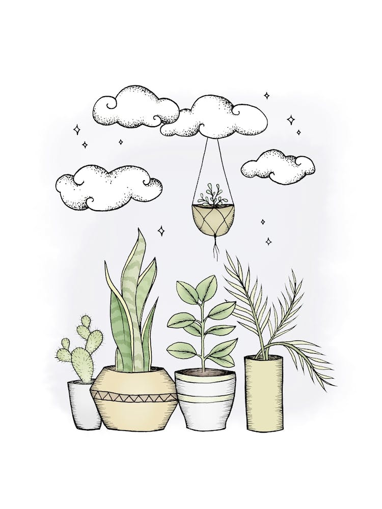 Never Enough Plants